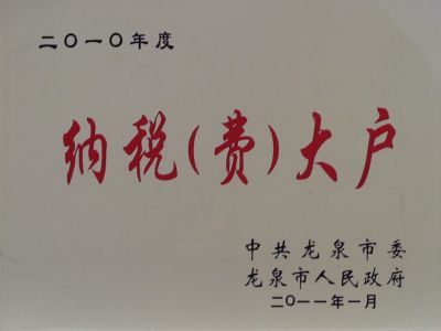 2010年納稅大戶