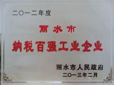 2012年麗水納稅百強(qiáng)企業(yè)